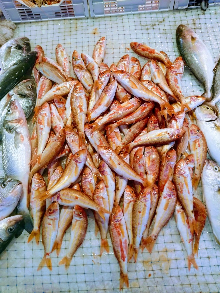 Fish at Ortgia Market, Syracuse
